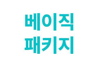 베이직 패키지