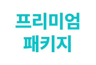 프리미엄 패키지