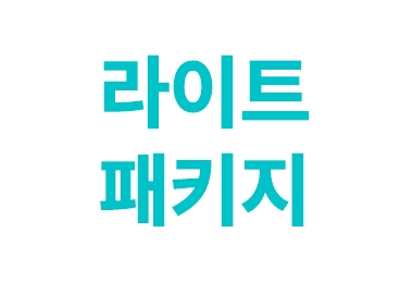 라이트 패키지