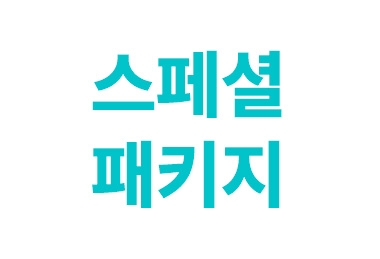 스페셜 패키지